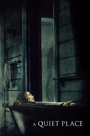 A Quiet Place 2018 Dual Audio | Dubbed Hindi Movie BluRay [800MB]