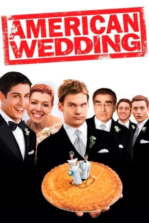 American Wedding (2003) Dual Audio | Dubbed Hindi Movie BluRay 300MB