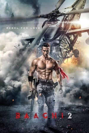 Baaghi 2 2018 Movie Hevc Pre-DVDRip [170MB]