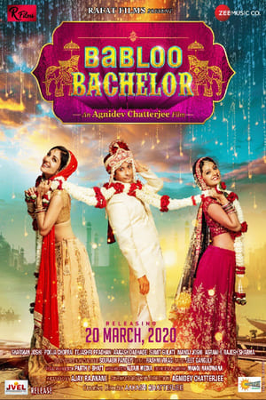 Babloo Bachelor (2021) Movie HDRip | Dubbed Hindi Movie – 480p