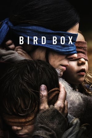 Bird Box 2018 (HQ DUBBED) Dual Audio | Dubbed Hindi Movie WehRip [1.1GB]