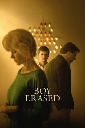 Boy Erased (2018) Dual Audio | Dubbed Hindi Movie BluRay 380MB