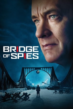 Bridge of Spies (2015) Dual Audio | Dubbed Hindi Movie BluRay [1.1GB] ESubs