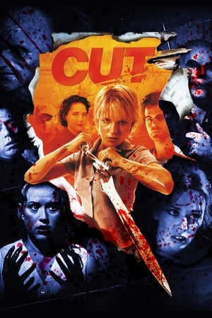 Cut (2000) Dual Audio | Dubbed Hindi Movie BluRay [1.1GB]