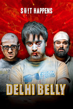 Delhi Belly 2011 Full Movie | Dubbed Hindi Movie DVDRip [300MB]