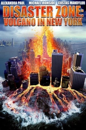 Disaster Zone Volcano in New York 2006 Dual Audio | Dubbed Hindi Movie HDRip [860MB]