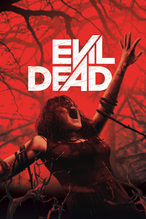 Evil Dead 2013 Dual Audio | Dubbed Hindi Movie BluRay [760MB]