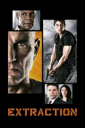 Extraction 2013 Dual Audio | Dubbed Hindi Movie WebRip 330MB