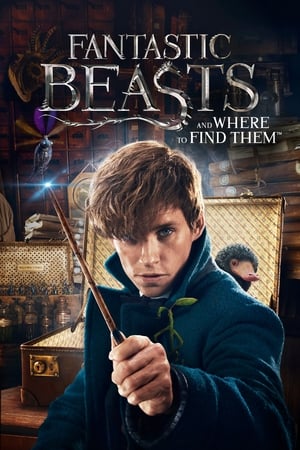 Fantastic Beasts and Where to Find Them 2016 Dual Audio () | Dubbed Hindi Movie Bluray [300MB]