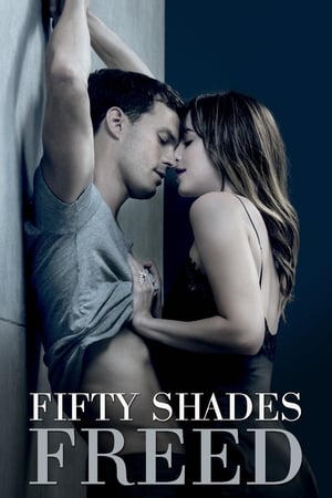 Fifty Shades Freed (2018) Dual Audio | Dubbed Hindi Movie BluRay 400MB