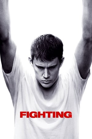 Fighting (2009) Dual Audio | Dubbed Hindi Movie BluRay [1.1GB]