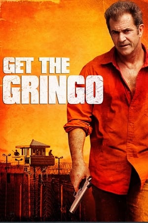 Get the Gringo (2012) Dual Audio | Dubbed Hindi Movie BluRay [850MB]