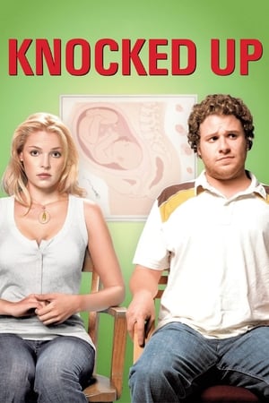 Knocked Up (2007) Dual Audio | Dubbed Hindi Movie BluRay 350MB