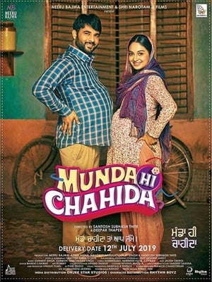 Munda Hi Chahida (2019) Punjabi Movie | Dubbed Hindi Movie HDTVRip x264 [1GB]