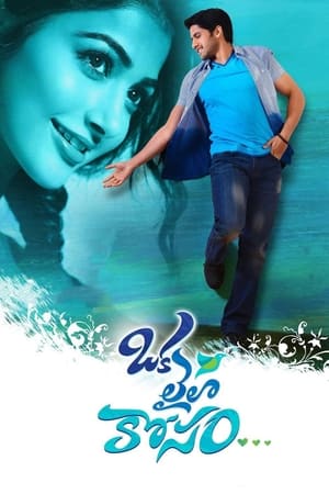 Oka Laila Kosam 2014 ( – Telugu) Dual Audio | Dubbed Hindi Movie UnCut HDRip [1.2GB]