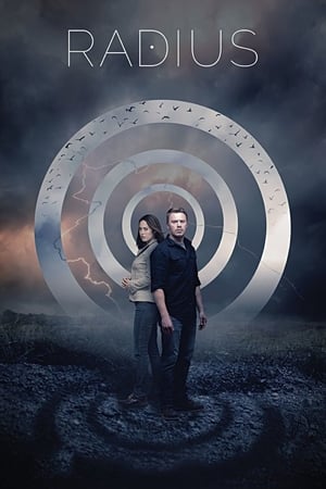 Radius (2017) Dual Audio | Dubbed Hindi Movie BluRay [870MB]