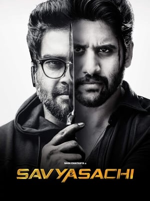 Savyasachi (2018) Dual Audio | Dubbed Hindi Movie UnCut HDRip [1.2GB]