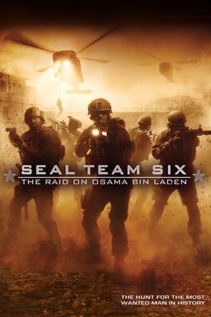 Seal Team Six: The Raid on Osama Bin Laden (2012) Dual Audio Full Movie | Dubbed Hindi Movie BluRay - 1.3GB