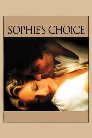 Sophie's Choice (1982) Dual Audio Full Movie | Dubbed Hindi Movie BluRay - 1.1GB