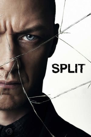 Split (2016) Dual Audio | Dubbed Hindi Movie BluRay [1GB]