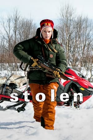 Stolen (2024) Dual Audio HDRip | Dubbed Hindi Movie – 720p – 480p