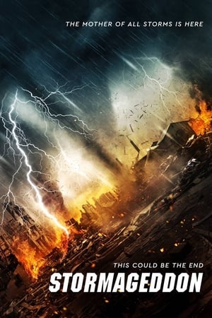 Stormageddon (2015) Dual Audio | Dubbed Hindi Movie BluRay [1.1GB]