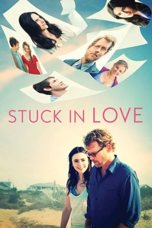 Stuck in Love (2012) Dual Audio | Dubbed Hindi Movie BluRay [850MB]