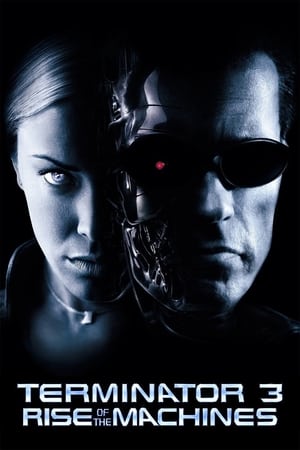 Terminator 3: Rise of the Machines (2003) Dual Audio | Dubbed Hindi Movie BluRay [850MB]