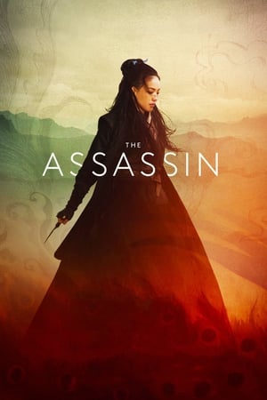 The Assassin 2015 Dual Audio | Dubbed Hindi Movie BluRay [1.1GB]