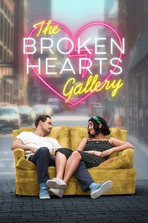 The Broken Hearts Gallery (2020) Dual Audio | Dubbed Hindi Movie Web-DL [1GB]