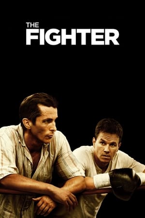 The Fighter (2010) Dual Audio | Dubbed Hindi Movie BluRay [700MB]