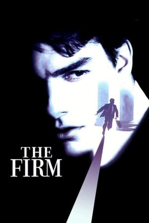 The Firm (1993) Dual Audio | Dubbed Hindi Movie BluRay 450MB