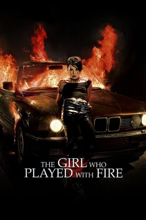 The Girl Who Played with Fire (2009) Dual Audio | Dubbed Hindi Movie BluRay [800MB]