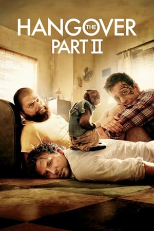 The Hangover Part II (2011) Dual Audio | Dubbed Hindi Movie BluRay 300MB