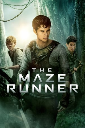 The Maze Runner (2014) Dual Audio | Dubbed Hindi Movie BluRay [1.1GB]