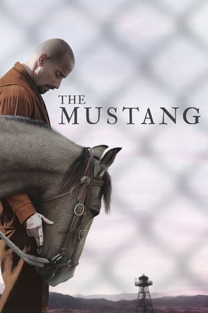 The Mustang (2019) Dual Audio | Dubbed Hindi Movie BluRay [900MB]