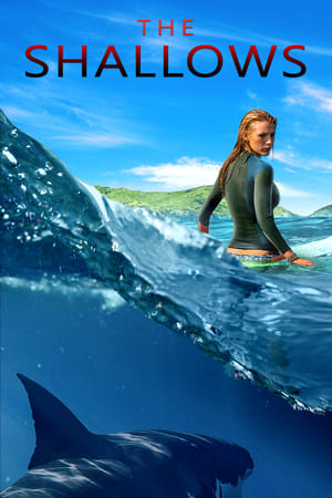 The Shallows 2016 Dual Audio () | Dubbed Hindi Movie [1GB]