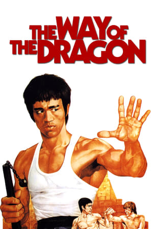 The Way of the Dragon (1972) Dual Audio | Dubbed Hindi Movie BluRay [940MB]